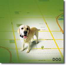 Zoombak GPS Locator for your dog